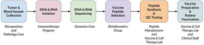 Computational Pipeline for the PGV-001 Neoantigen Vaccine Trial